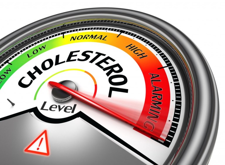 cholesterol-meter