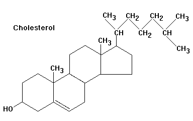 Cholesterol2