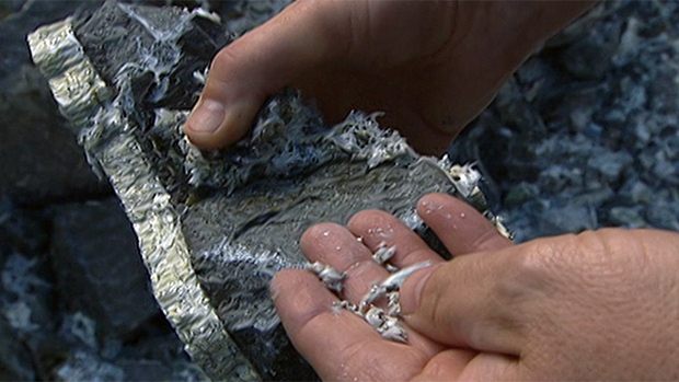 hi-asbestos-rad-can-852-8col