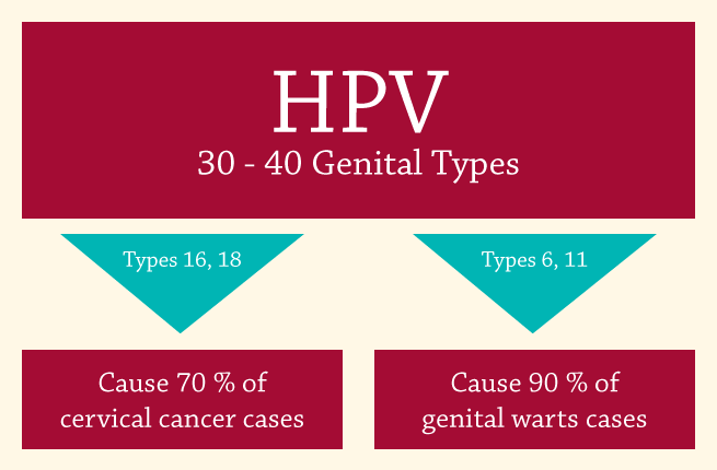 hpv