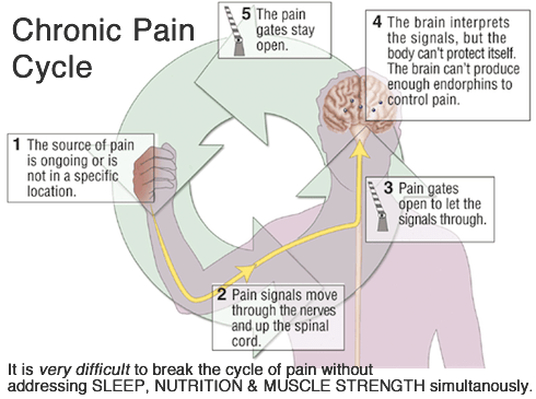 chronic_pain_cycle1