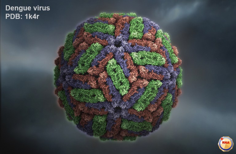 Adeno-Associated virus